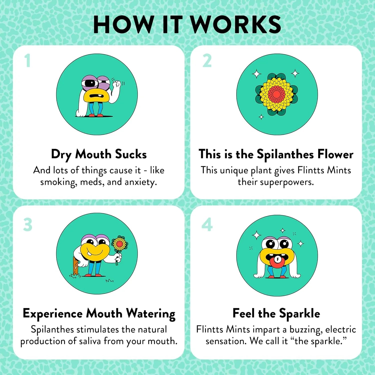 Flintts Mouth Watering Mints Pack